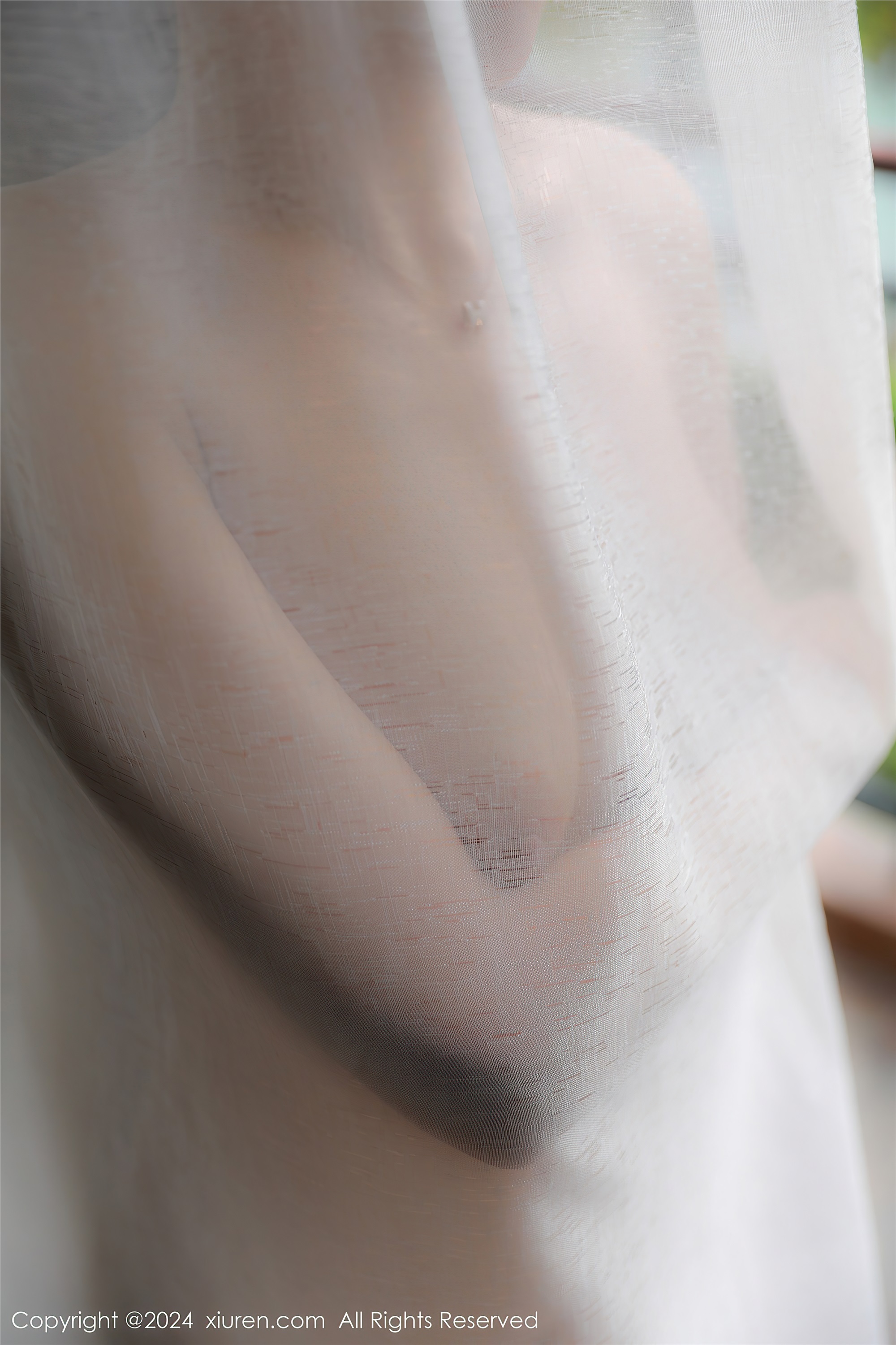 Xiuren秀人网 2024.01.15 NO.7963 林幼一